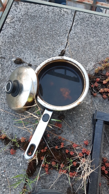 20220604_202538_resized groß.jpg